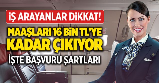İşte kabin memuru olma şartları…