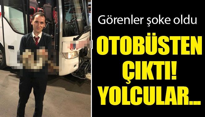 Otobüsün bagajındaki piton kaçtı, stepne bölümünde bulundu