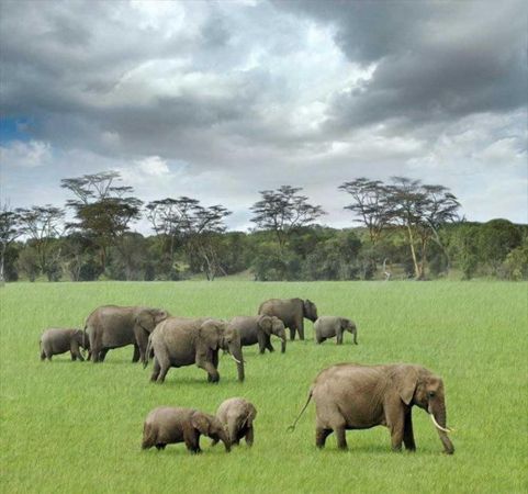 Türk vatandaşlarından vize istemeyen ülkeler hangileri? İşte 2020 güncel listesi