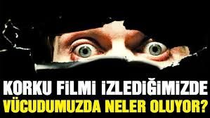 Korku filmi izlediğimizde vücudumuzda neler oluyor?