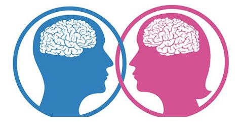 Kadın beyni erkek beynine göre daha genç