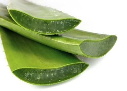 Aloe Vera faydaları nelerdir, nasıl uygulanır