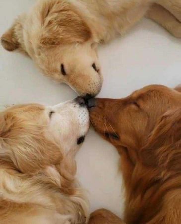 Günün en çok paylaşılan fotoğrafları