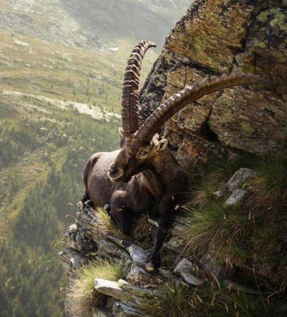 Günün en çok paylaşılan fotoğrafları