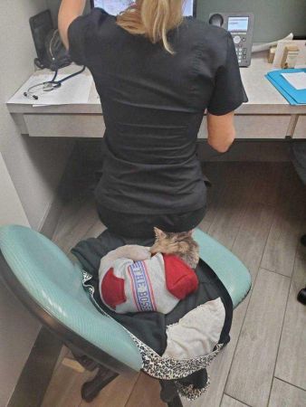 Günün en çok paylaşılan fotoğrafları