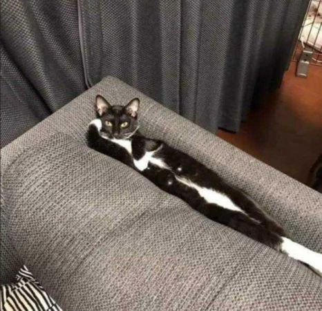 Günün en çok paylaşılan fotoğrafları