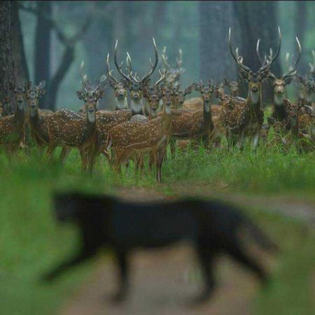 Günün en çok paylaşılan fotoğrafları