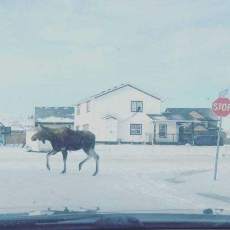 Günün en çok paylaşılan fotoğrafları