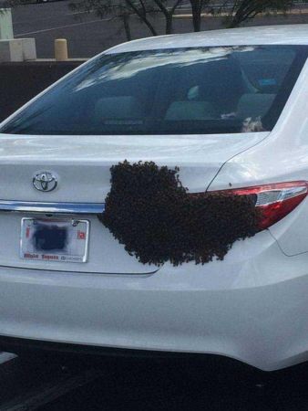 Günün en çok paylaşılan fotoğrafları