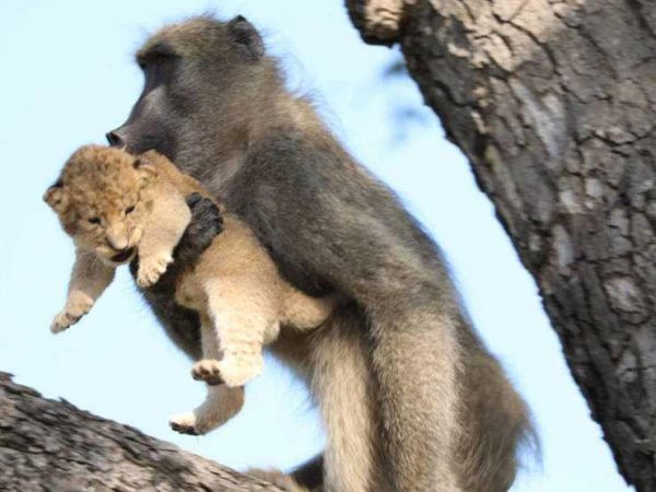 Günün en çok paylaşılan fotoğrafları