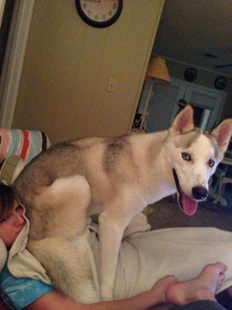 Günün en çok paylaşılan fotoğrafları