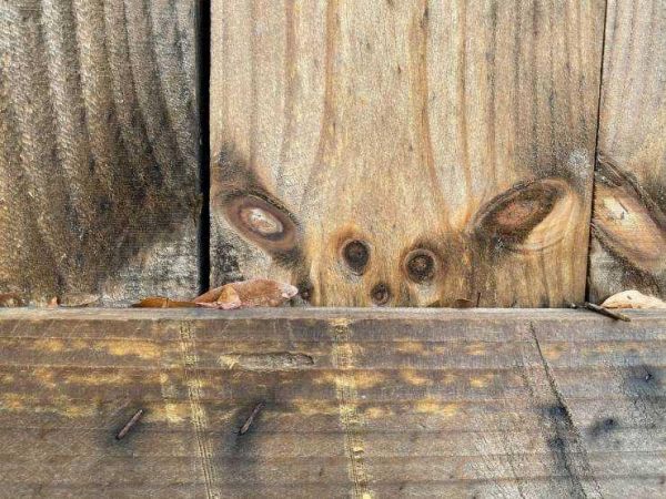 Günün en çok paylaşılan fotoğrafları