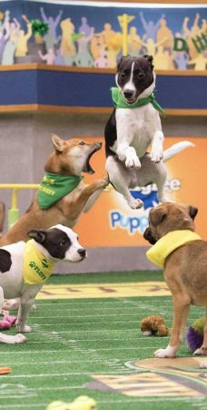 Günün en çok paylaşılan fotoğrafları