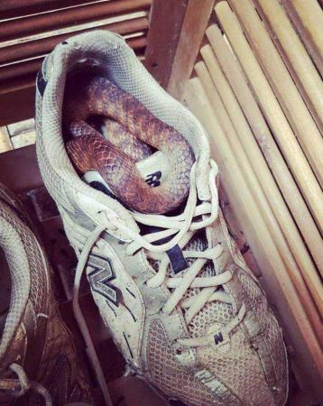 Günün en çok paylaşılan fotoğrafları