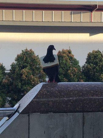 Günün en çok paylaşılan fotoğrafları