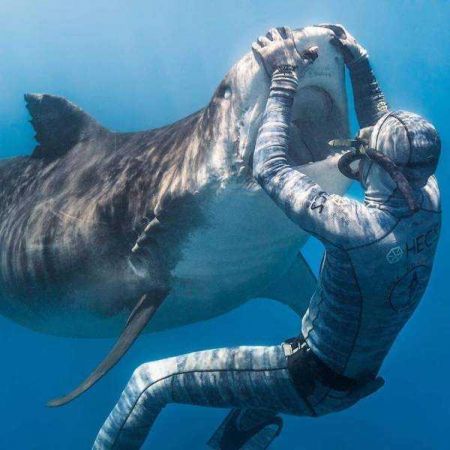 Günün en çok paylaşılan fotoğrafları