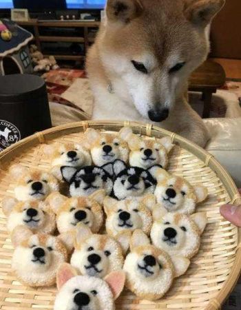 Günün en çok paylaşılan fotoğrafları