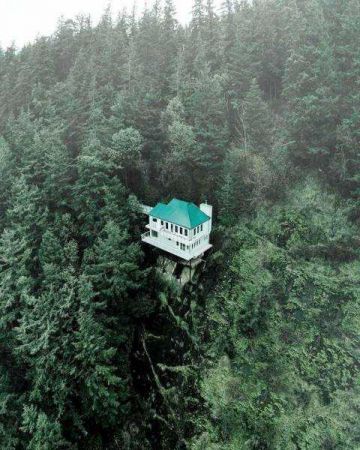 Günün en çok paylaşılan fotoğrafları