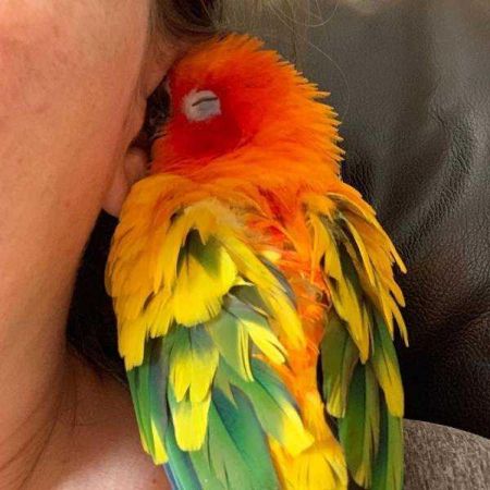 Günün en çok paylaşılan fotoğrafları