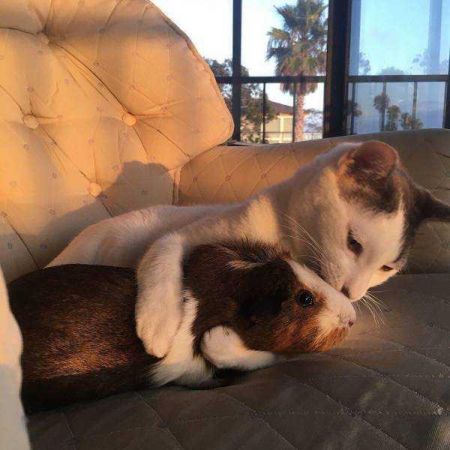 Günün en çok paylaşılan fotoğrafları