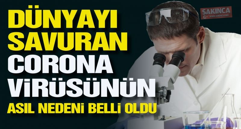 Son dakika… Corona virüsü salgınının asıl sebebi bulundu!