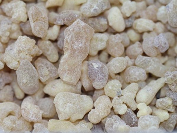 Kilo vermek isteyenlere müjde! Bu sakızı çiğneyen hızla zayıflıyor…