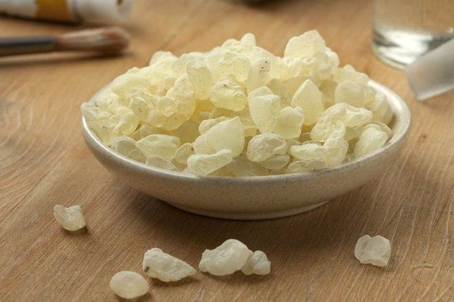 Kilo vermek isteyenlere müjde! Bu sakızı çiğneyen hızla zayıflıyor…