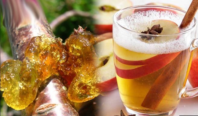 Kilo vermek isteyenlere müjde! Bu sakızı çiğneyen hızla zayıflıyor…