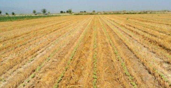 Türkiye’de en çok kazandıran meslekler