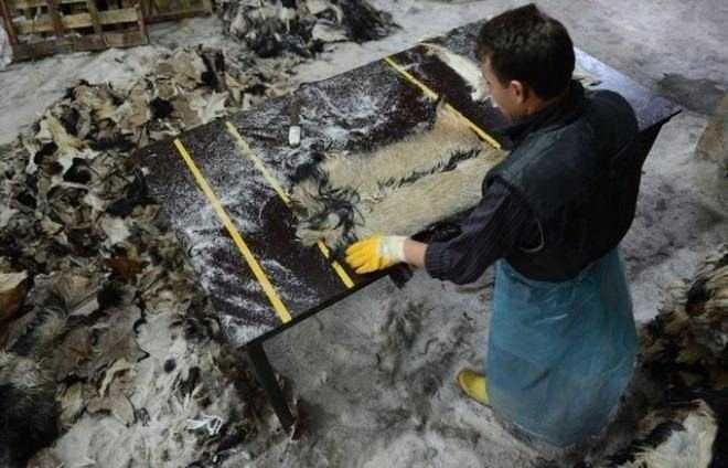 Türkiye’de en çok kazandıran meslekler