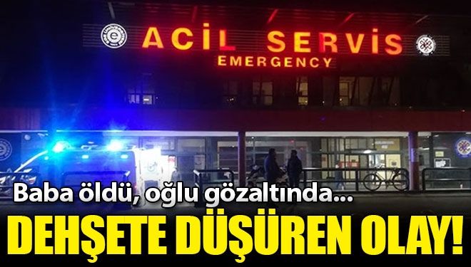 Dehşet! Babasını kalbinden bıçakladı