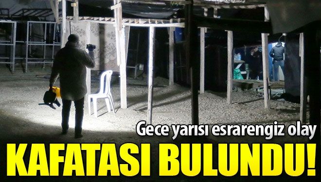 Korkunç olay! Boş arazide kafatası bulundu