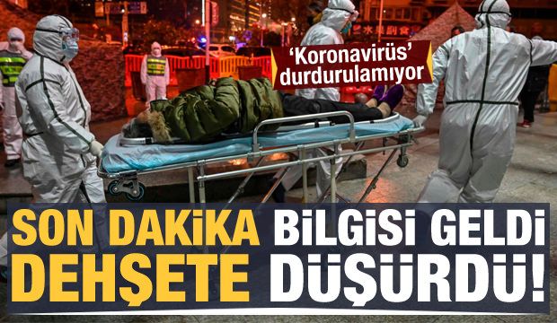 Son dakika: Dehşete düşüren son rakamlar geldi!