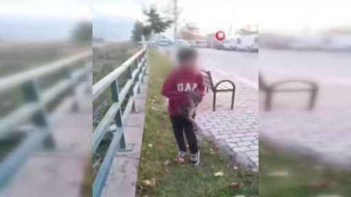 TikTok'ta paylaşmak için acımasızca görüntüleri kaydetmişti, sınır dışı edilecek TikTok'ta paylaşmak için acımasızca görüntüleri kaydetmişti, sınır dışı edilecek