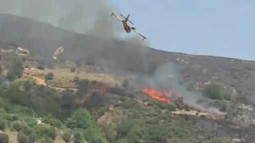 Yunanistan’da yangın söndürme uçağı düştü