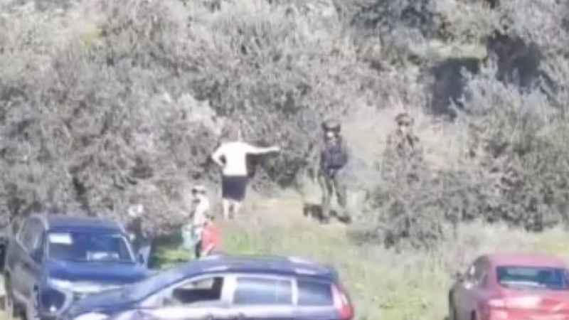 Yahudi yerleşimciler, asker koruması altında Filistinlilere ait zeytin ağaçlarını kesti