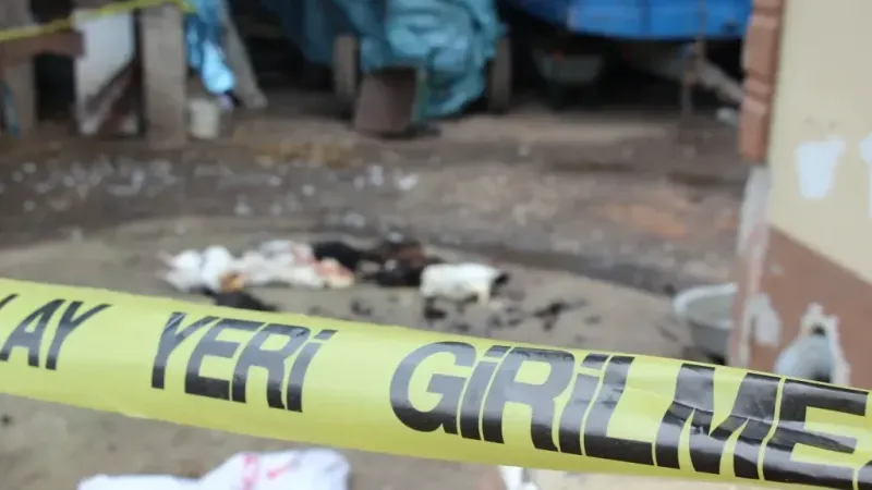 Annesi horozlarını komşusuna verince öfkelendi