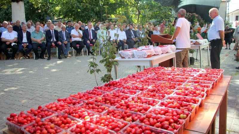 Şenköy Kızılcık Şenliği'nde renkli görüntüler