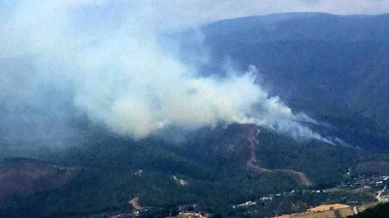 Hatay’da orman yangını Hatay’da orman yangını