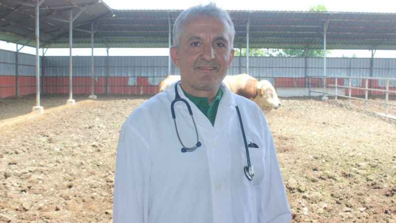 Veteriner hekimler şiddete sessiz kalmadı