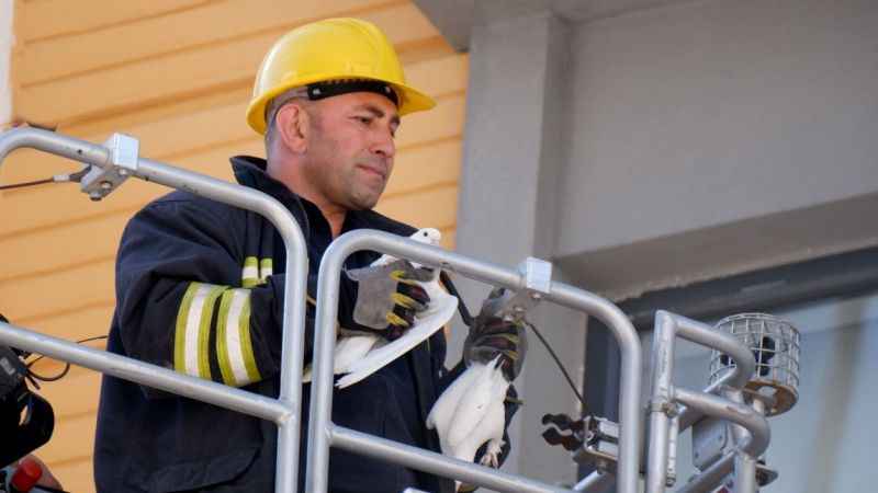 Erzurum'da itfaiyecilerin güvercin operasyonu