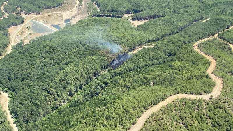 Muğla’daki orman yangını kontrol altına alındı