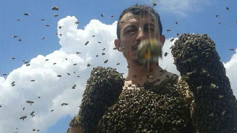 Arı adam görenleri hayrete düşürüyor Arı adam görenleri hayrete düşürüyor