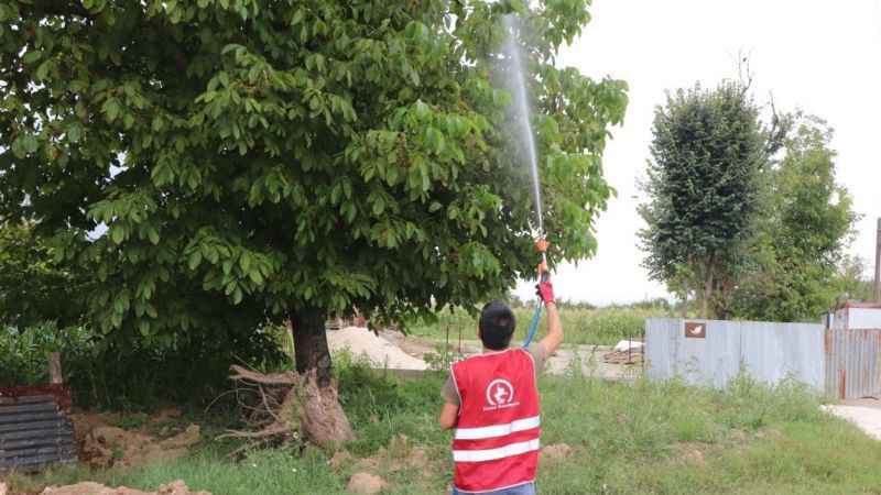 Asya Kaplanı türüne dikkat! Asya Kaplanı türüne dikkat!