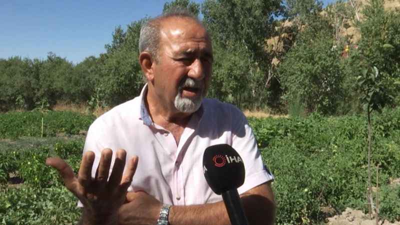Tarlada heyecanlandıran keşif: Kazı çalışmaları başladı Tarlada heyecanlandıran keşif: Kazı çalışmaları başladı