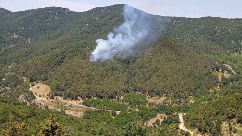 Hatay’da orman yangını Hatay’da orman yangını