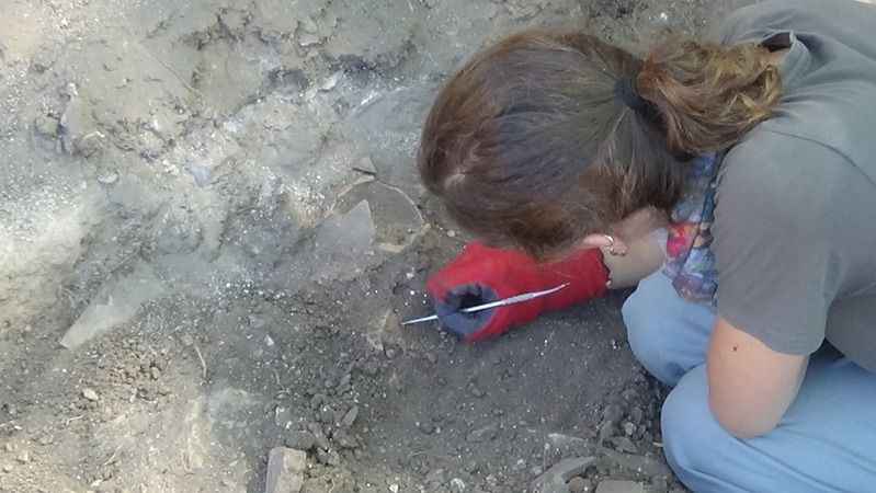 Toprağın altından bin 700 yıllık villa çıktı