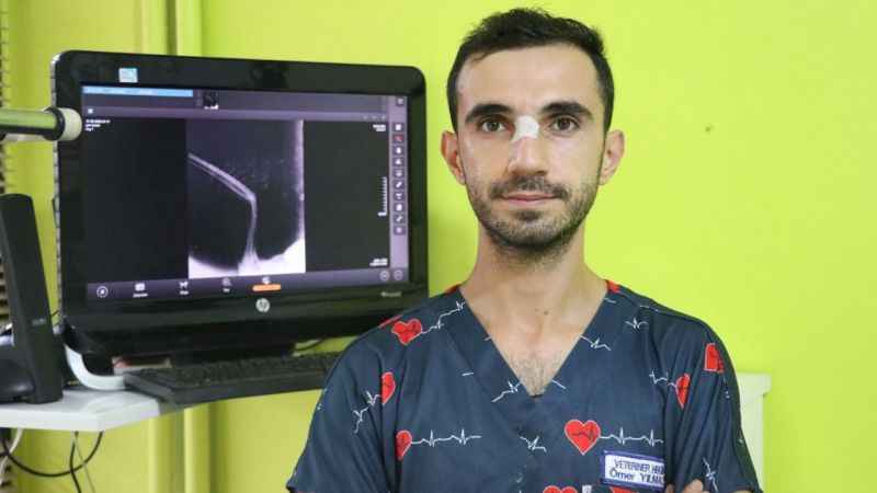 Şah kartalı, pençe darbesiyle veterineri yaraladı Şah kartalı, pençe darbesiyle veterineri yaraladı