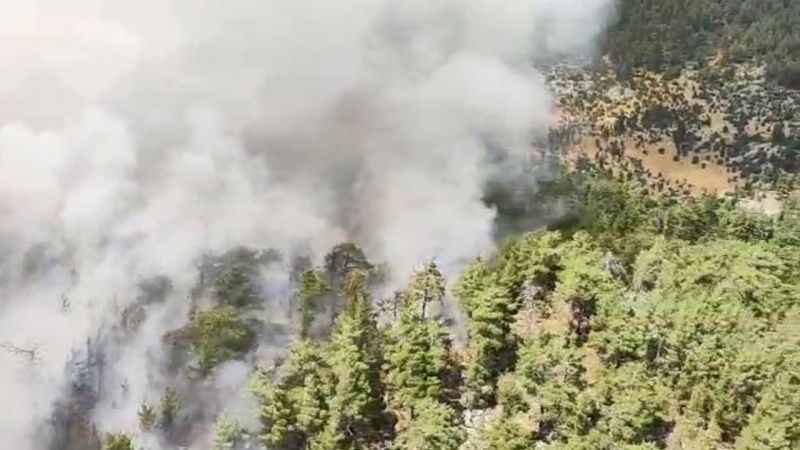 Antalya’da orman yangını