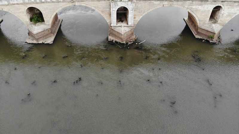 Meriç Nehri’ni kuraklık vurdu
